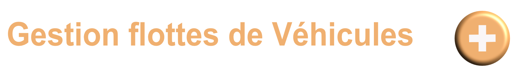 Gestion%20de%20flottes